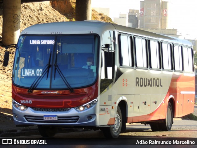 Rouxinol 1688 na cidade de Belo Horizonte, Minas Gerais, Brasil, por Adão Raimundo Marcelino. Número da foto: #8078360.