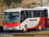 Rouxinol 1666 na cidade de Belo Horizonte, Minas Gerais, Brasil, por Adão Raimundo Marcelino. Número da foto: #8078365.