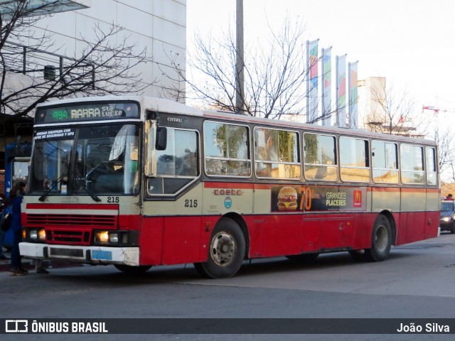 COETC - Cooperativa de Obreros y Empleados del Transporte Coletivo 215 na cidade de Montevideo, Montevideo, Uruguai, por João Silva. Número da foto: #8080200.