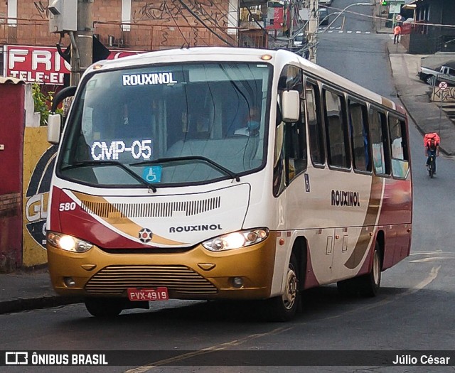 Rouxinol 580 na cidade de Belo Horizonte, Minas Gerais, Brasil, por Júlio César. ID da foto: 8078789.