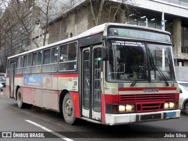 COETC - Cooperativa de Obreros y Empleados del Transporte Coletivo 18 na cidade de Montevideo, Montevideo, Uruguai, por João Silva. Número da foto: #8080090.