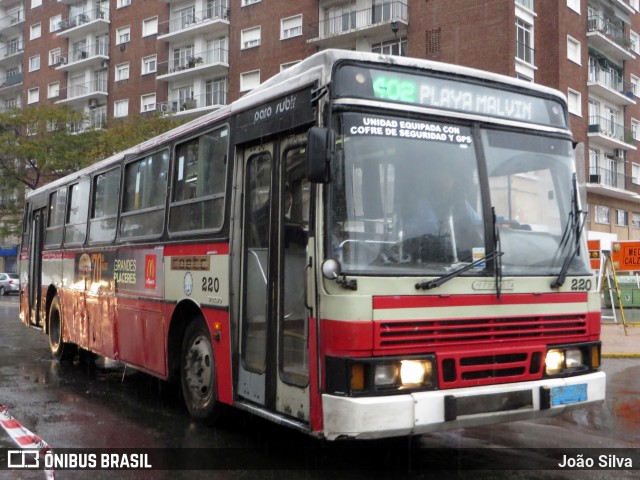 COETC - Cooperativa de Obreros y Empleados del Transporte Coletivo 220 na cidade de Montevideo, Montevideo, Uruguai, por João Silva. ID da foto: 8080214.