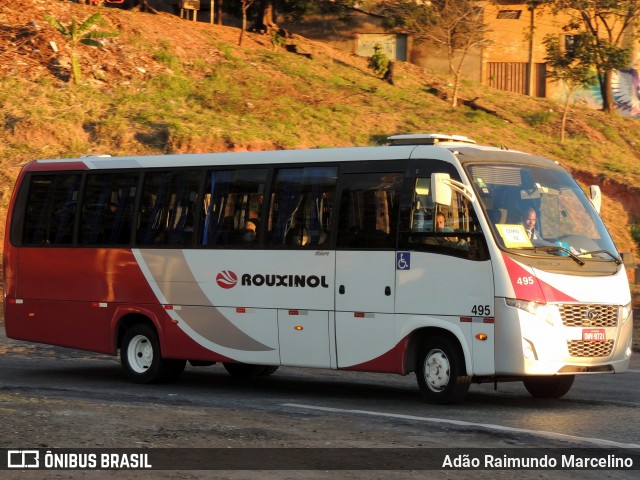 Rouxinol 495 na cidade de Belo Horizonte, Minas Gerais, Brasil, por Adão Raimundo Marcelino. ID da foto: 8081280.