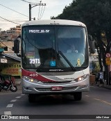 Rouxinol 405 na cidade de Belo Horizonte, Minas Gerais, Brasil, por Júlio César. Número da foto: #8078796.