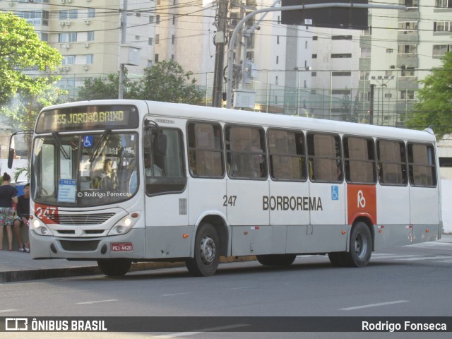 Borborema Imperial Transportes 247 na cidade de Recife, Pernambuco, Brasil, por Rodrigo Fonseca. Número da foto: #8085437.