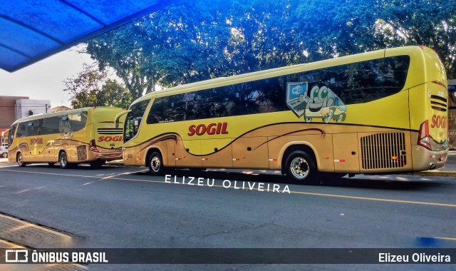 SOGIL - Sociedade de Ônibus Gigante Ltda. 460 na cidade de Gravataí, Rio Grande do Sul, Brasil, por Elizeu Oliveira. Número da foto: #8085900.