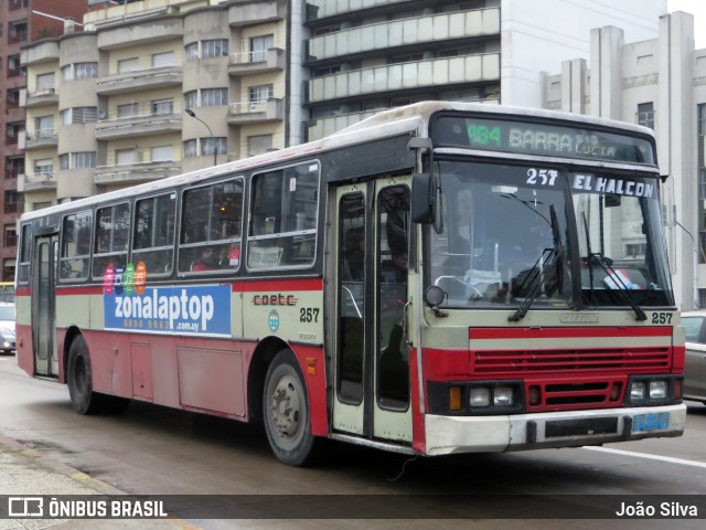 COETC - Cooperativa de Obreros y Empleados del Transporte Coletivo 257 na cidade de Montevideo, Montevideo, Uruguai, por João Silva. Número da foto: #8090240.