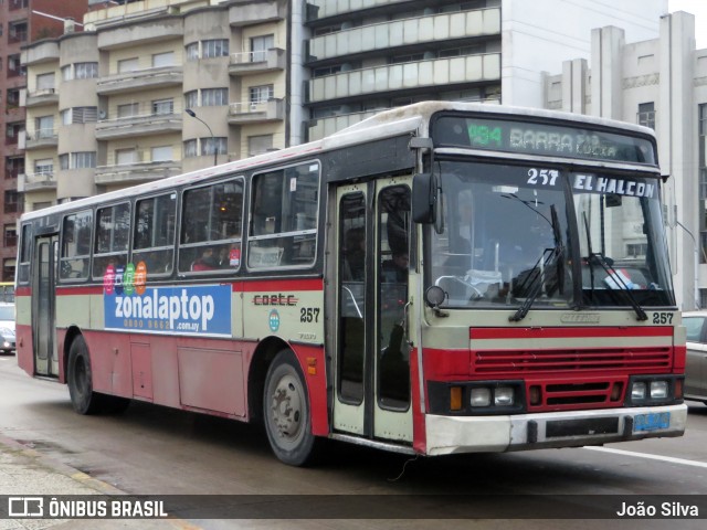 COETC - Cooperativa de Obreros y Empleados del Transporte Coletivo 257 na cidade de Montevideo, Montevideo, Uruguai, por João Silva. ID da foto: 8090240.