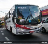 Rouxinol 405 na cidade de Belo Horizonte, Minas Gerais, Brasil, por Júlio César. Número da foto: #8087477.