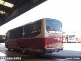 Santa Maria Fretamento e Turismo > Transportes Santa Maria(SP) 305 na cidade de São Bernardo do Campo, São Paulo, Brasil, por Agnaldo Penides. Número da foto: #8090072.