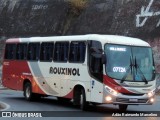 Rouxinol 1710 na cidade de Belo Horizonte, Minas Gerais, Brasil, por Adão Raimundo Marcelino. Número da foto: #8089986.
