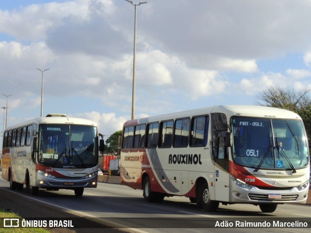 Rouxinol 1730 na cidade de Belo Horizonte, Minas Gerais, Brasil, por Adão Raimundo Marcelino. Número da foto: #8156039.