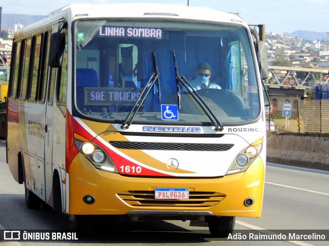 Rouxinol 1610 na cidade de Belo Horizonte, Minas Gerais, Brasil, por Adão Raimundo Marcelino. ID da foto: 8156011.