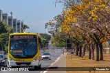 Viação Pioneira 229881 na cidade de Brasília, Distrito Federal, Brasil, por Ricardo Fs. Número da foto: #8154004.