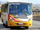 Rouxinol 1610 na cidade de Belo Horizonte, Minas Gerais, Brasil, por Adão Raimundo Marcelino. Número da foto: #8156011.