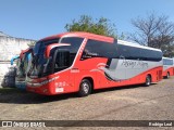 Empresa de Ônibus Pássaro Marron 5924 na cidade de Guarulhos, São Paulo, Brasil, por Rodrigo Leal. Número da foto: #8184907.
