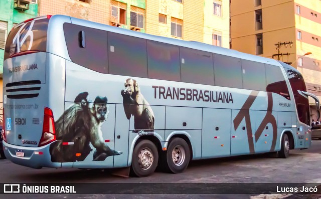 Transbrasiliana Transportes e Turismo 51301 na cidade de Belém, Pará, Brasil, por Lucas Jacó. Número da foto: #8186745.