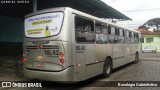 Viação Tamandaré 16L42 na cidade de Almirante Tamandaré, Paraná, Brasil, por Busologia Gabrielística. Número da foto: #8186836.