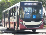 Empresa de Transportes Nova Marambaia AT-22905 na cidade de Belém, Pará, Brasil, por Glauber Correa. Número da foto: #8187717.