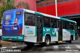 Transporte Urbano São Miguel 2004 na cidade de Uberlândia, Minas Gerais, Brasil, por Eduardo Ribeiro. Número da foto: #8187925.