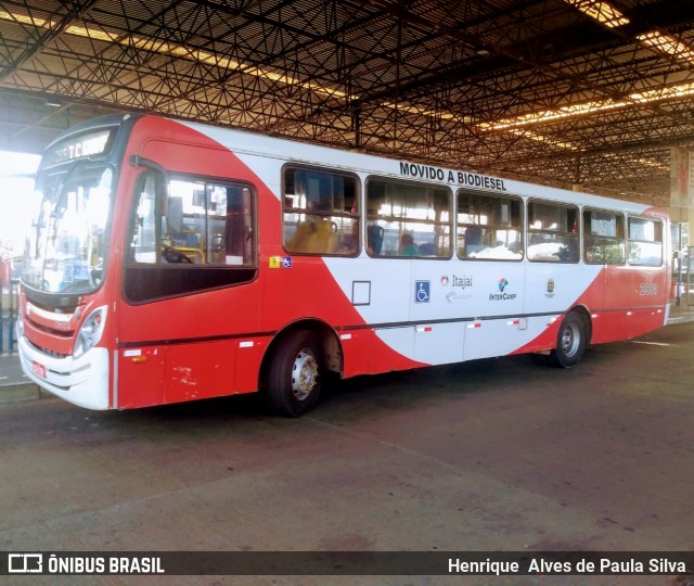 Itajaí Transportes Coletivos 2981 na cidade de Campinas, São Paulo, Brasil, por Henrique Alves de Paula Silva. Número da foto: #8189617.