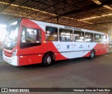 Itajaí Transportes Coletivos 2981 na cidade de Campinas, São Paulo, Brasil, por Henrique Alves de Paula Silva. Número da foto: #8189617.