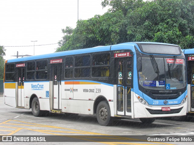 Expresso Vera Cruz 239 na cidade de Recife, Pernambuco, Brasil, por Gustavo Felipe Melo. Número da foto: #8195014.