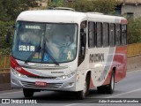 Rouxinol 1680 na cidade de Belo Horizonte, Minas Gerais, Brasil, por Adão Raimundo Marcelino. Número da foto: #8198069.