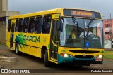 Viação Garcia 7617 na cidade de Apucarana, Paraná, Brasil, por Pedroka Ternoski. Número da foto: #8201563.