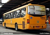 Araucária Transportes Coletivos 19802 na cidade de Curitiba, Paraná, Brasil, por Hipólito Rodrigues. Número da foto: #:id.