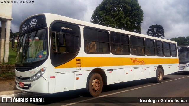 WG Transportes 3559 na cidade de Castro, Paraná, Brasil, por Busologia Gabrielística. ID da foto: 8211782.