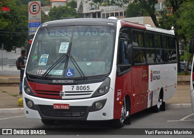 Transwolff Transportes e Turismo 7 8065 na cidade de São Paulo, São Paulo, Brasil, por Yuri Ferreira Marinho. Número da foto: #8213506.