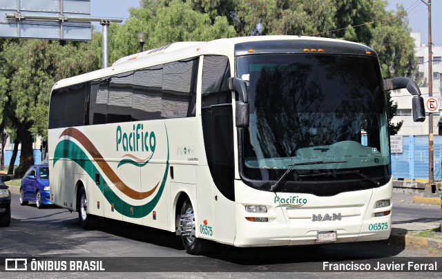 Transportes del Pacifico 6575 na cidade de Gustavo A. Madero, Ciudad de México, México, por Francisco Javier Ferral. Número da foto: #8222756.