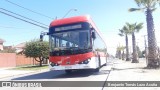 Metbus 1633 na cidade de Maipú, Santiago, Metropolitana de Santiago, Chile, por Benjamín Tomás Lazo Acuña. Número da foto: #8224092.