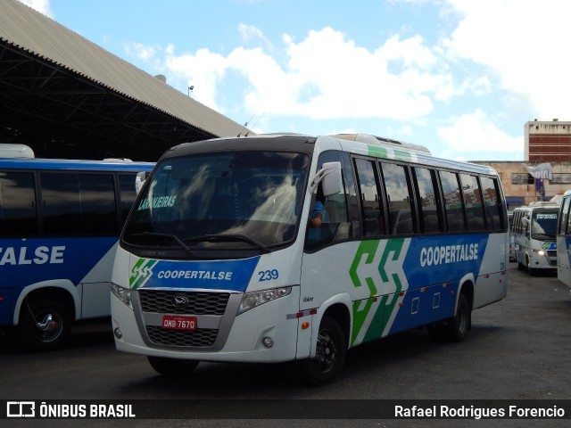 Coopertalse 239 na cidade de Aracaju, Sergipe, Brasil, por Rafael Rodrigues Forencio. Número da foto: #8224509.