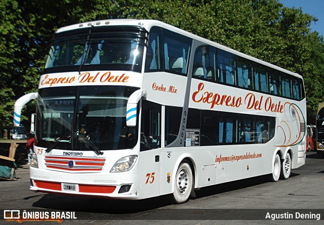 Expreso Del Oeste 75 na cidade de Ciudad Autónoma de Buenos Aires, Argentina, por Agustin Dening. Número da foto: #8224992.
