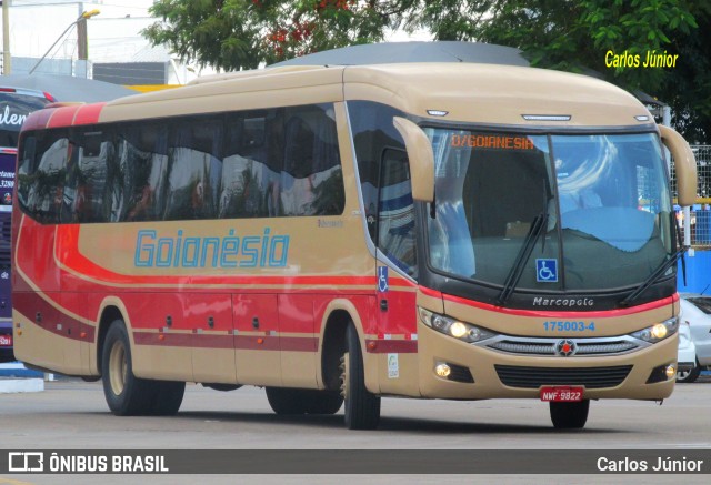 Auto Viação Goianésia 175003-4 na cidade de Goiânia, Goiás, Brasil, por Carlos Júnior. ID da foto: 8227745.