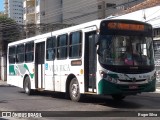 Viação Vila Rica RJ 206.033 na cidade de Nova Iguaçu, Rio de Janeiro, Brasil, por Roger Silva. Número da foto: #:id.