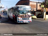 Empresa de Transporte 1º de Mayo S.R.L. - Línea 133 0 na cidade de Ñemby, Central, Paraguai, por Raul Fontan Douglas. Número da foto: #8227166.