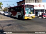 Lince 79 na cidade de San Lorenzo, Central, Paraguai, por Raul Fontan Douglas. Número da foto: #:id.