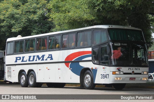 Pluma Conforto e Turismo 3947 na cidade de São Paulo, São Paulo, Brasil, por Douglas Paternezi. ID da foto: 8160614.