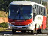 Rouxinol 2065 na cidade de Belo Horizonte, Minas Gerais, Brasil, por Adão Raimundo Marcelino. Número da foto: #8160854.