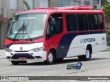 ATL - Associação dos Transportadores de Passageiros por Lotação 910 na cidade de Porto Alegre, Rio Grande do Sul, Brasil, por Emerson Dorneles. Número da foto: #:id.