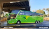 Pássaro Verde 12124 na cidade de Ribeirão Preto, São Paulo, Brasil, por Marcelo Henrique. Número da foto: #:id.