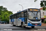 Viação Sorriso de Minas 5306 na cidade de Uberlândia, Minas Gerais, Brasil, por Eduardo Ribeiro. Número da foto: #8178576.